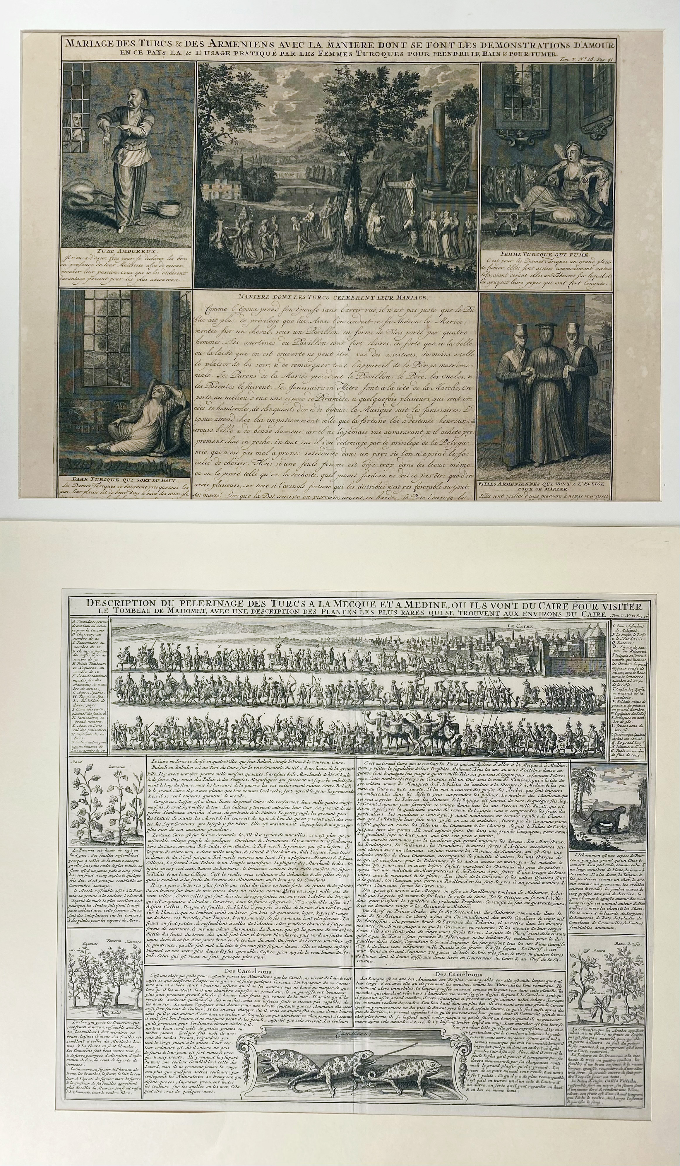 auction 362