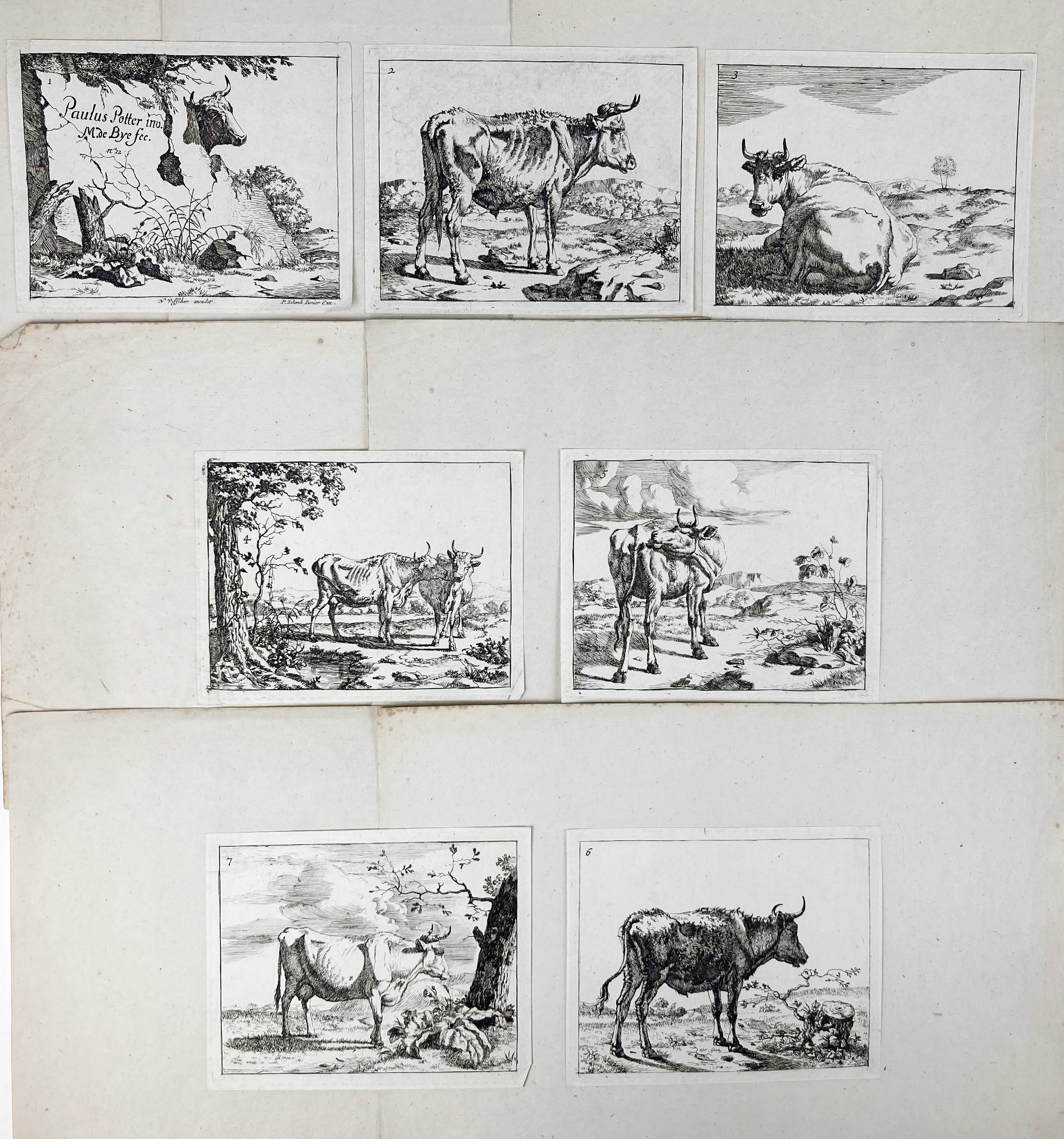 auction 362