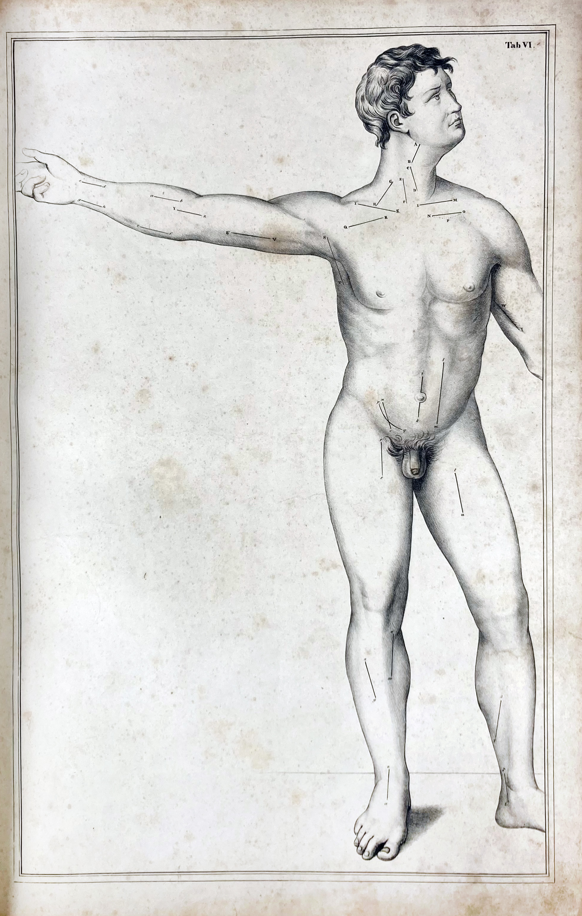 auction 362
