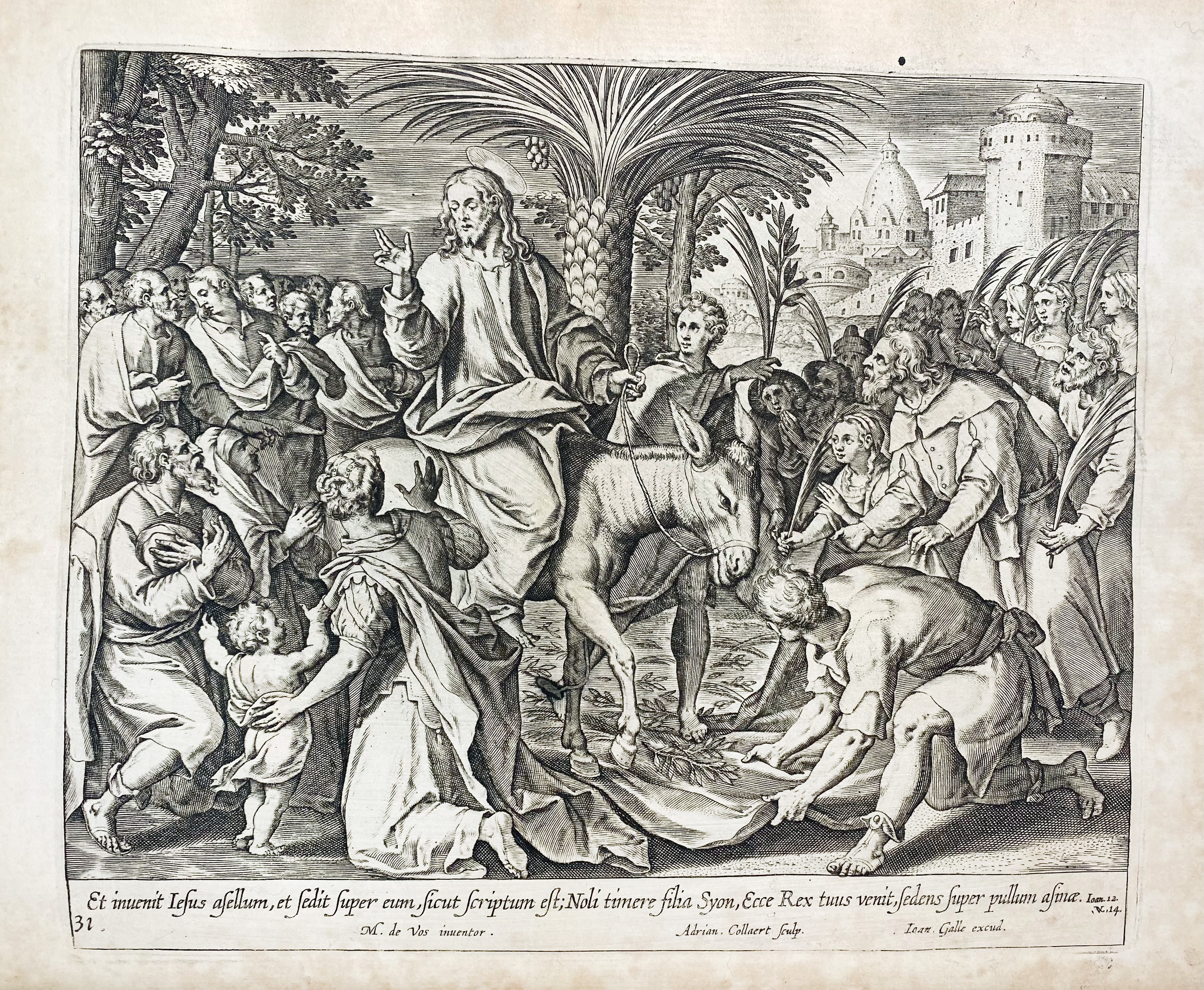 auction 362