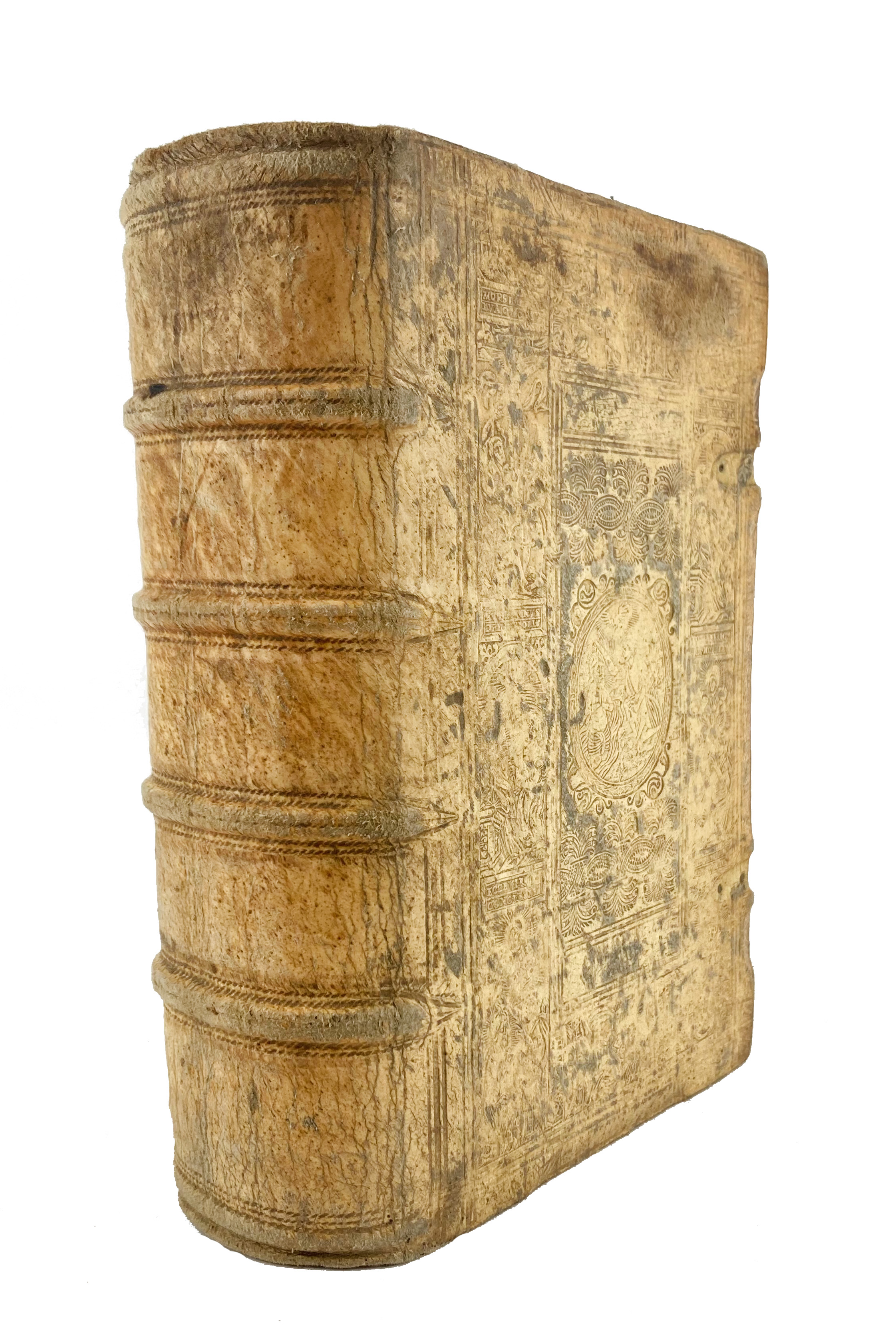 auction 362