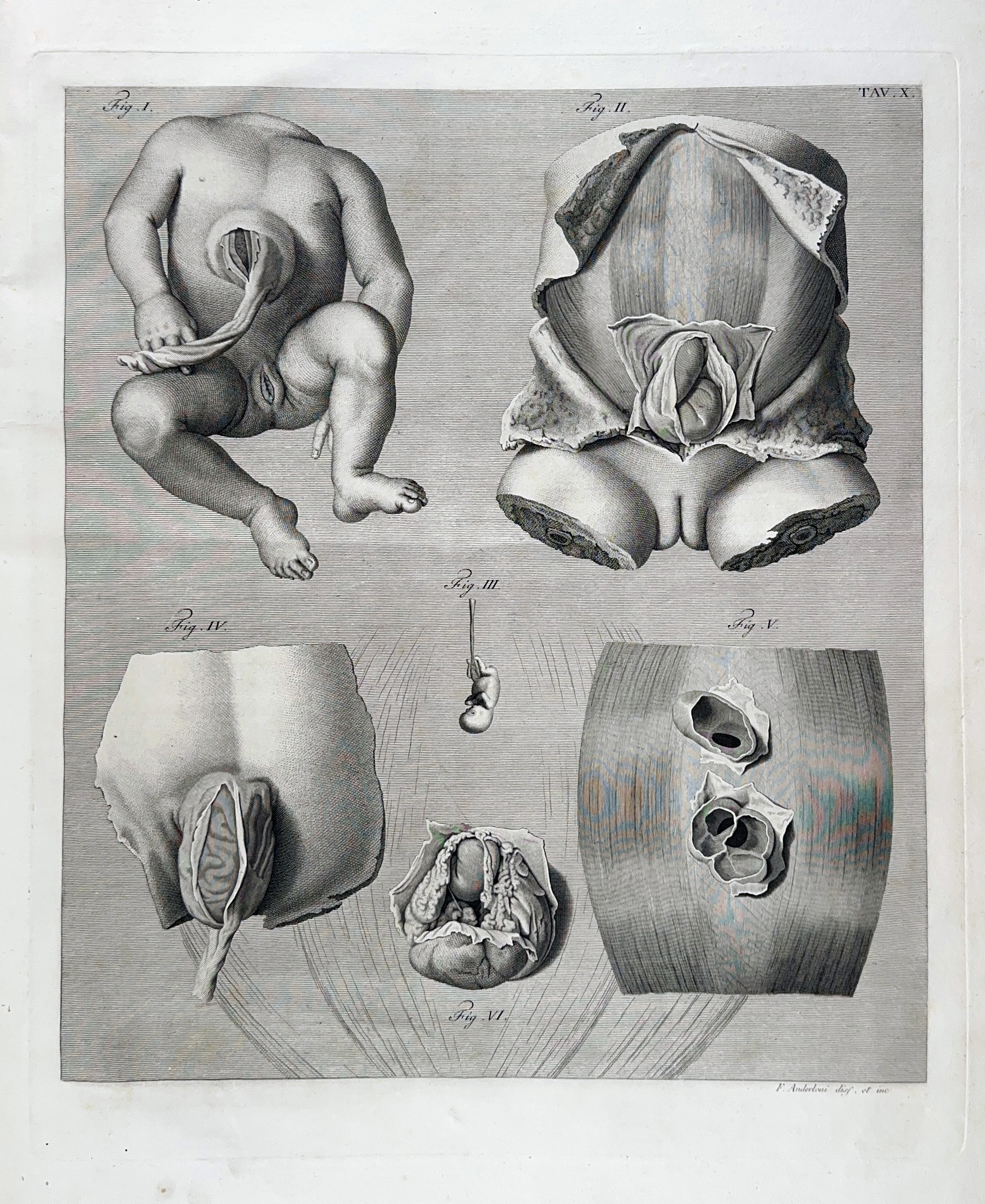 auction 362