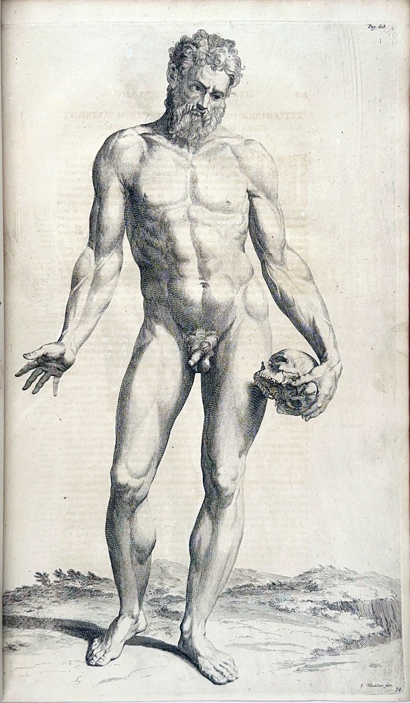 auction 362