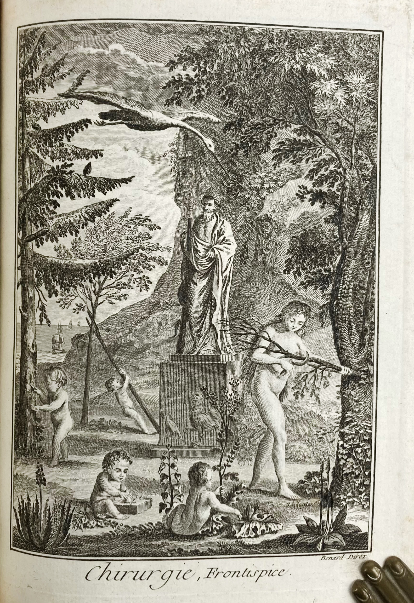 auction 362