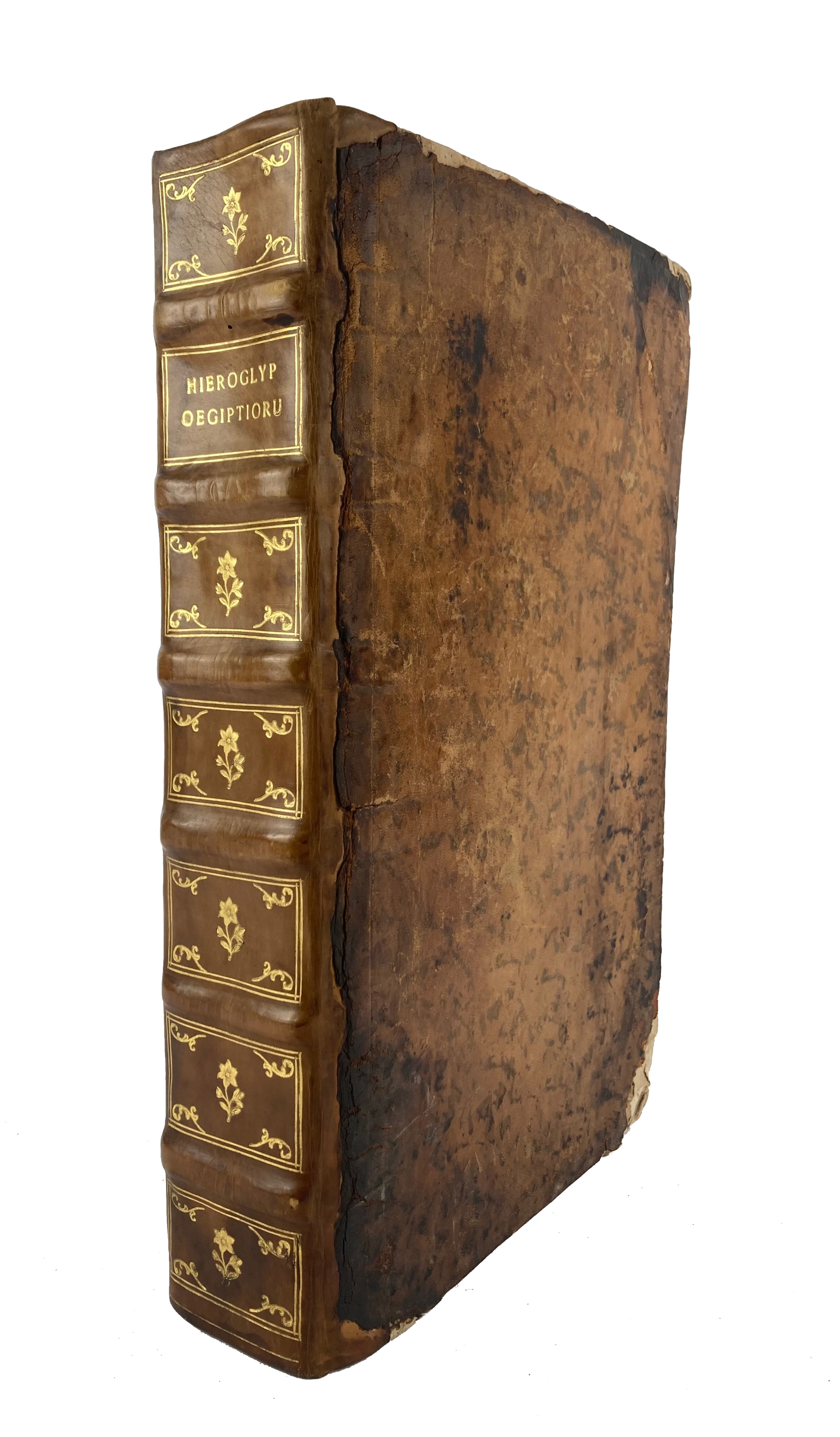auction 362