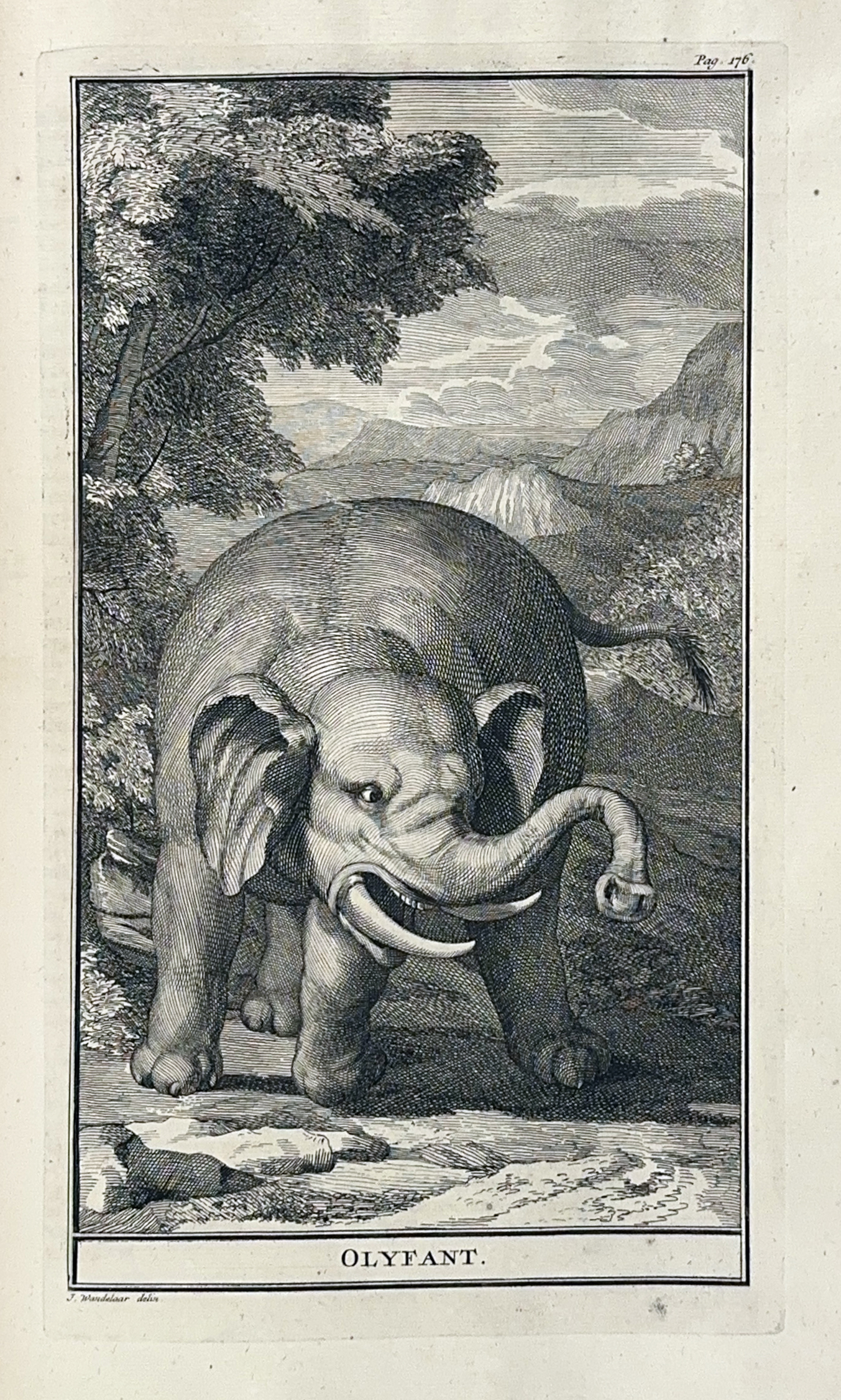 auction 362